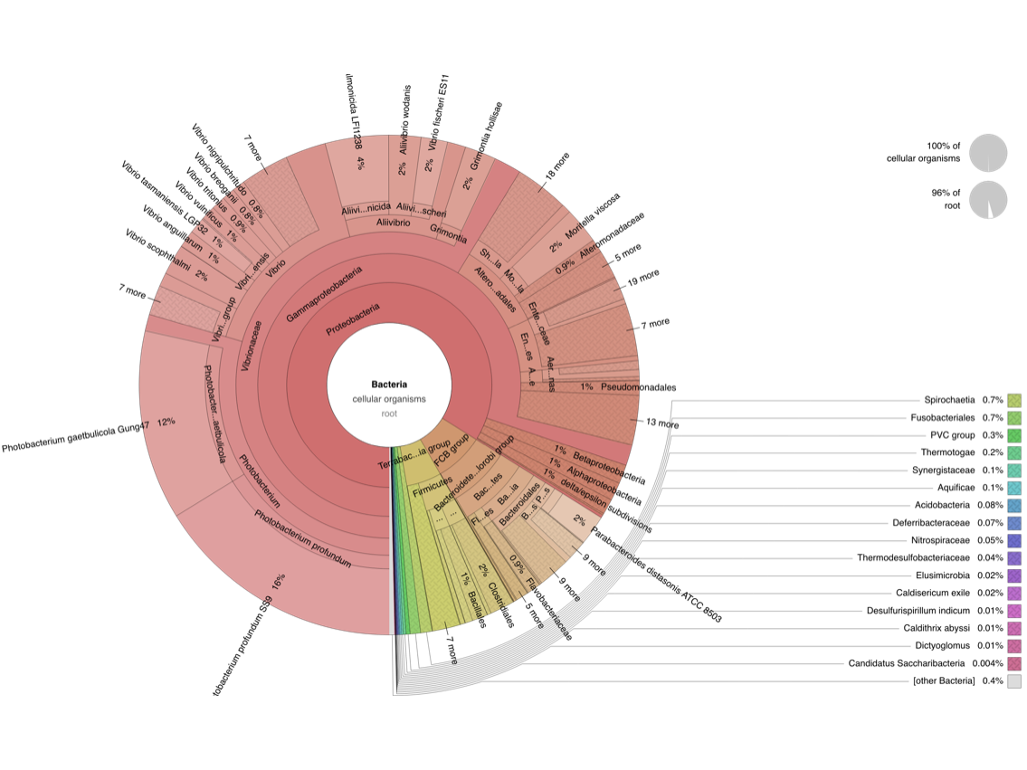 First hands-on workshop in Marine Metagenomics organised in Tromsø